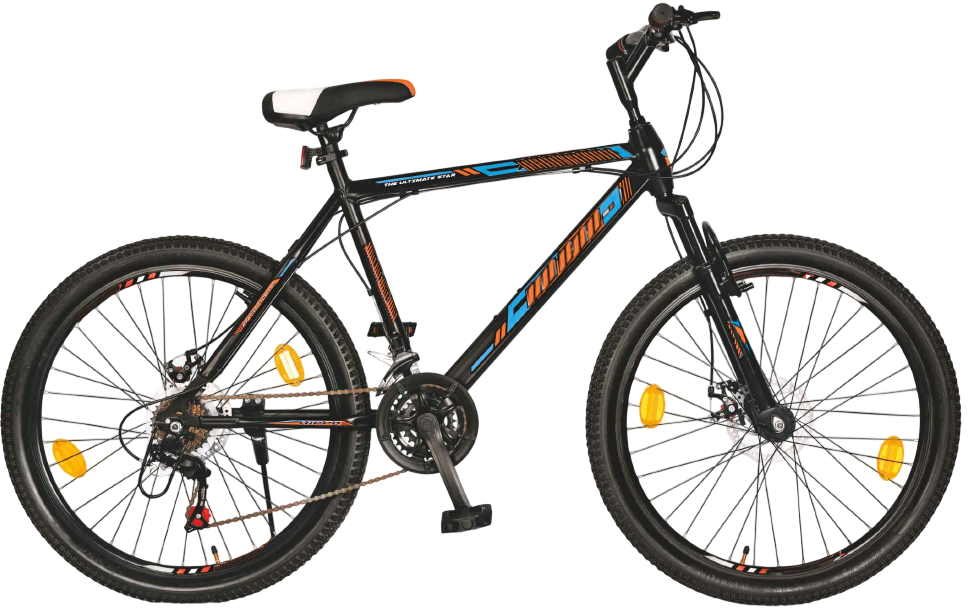 Classic Roadster bicycle with durable frame