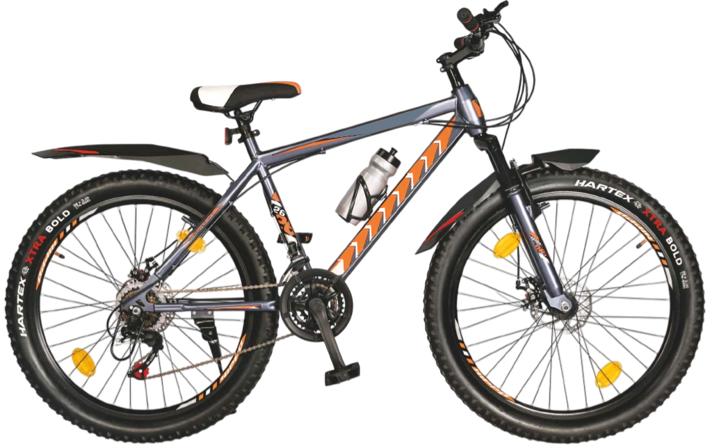 Classic Roadster bicycle with durable frame