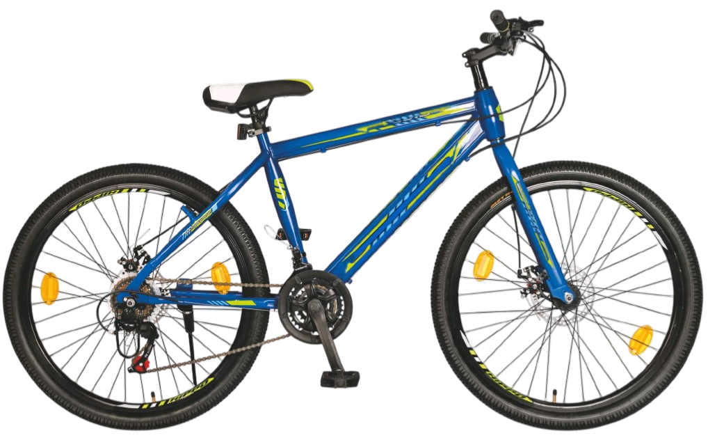 Classic Roadster bicycle with durable frame