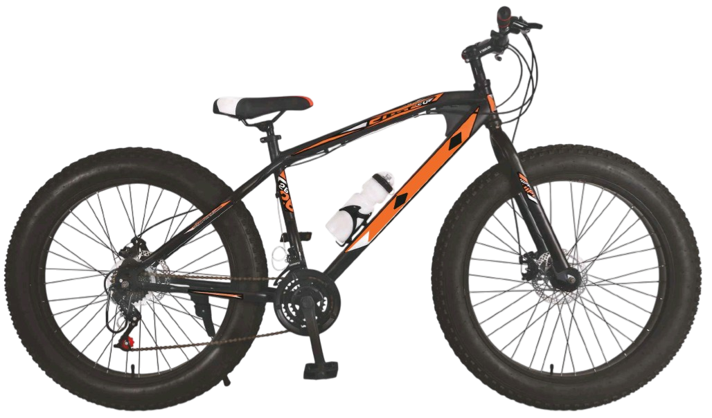 Classic Roadster bicycle with durable frame