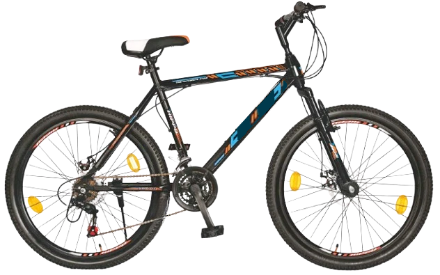 Classic Roadster bicycle with durable frame