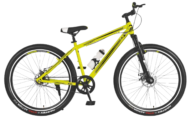 Classic Roadster bicycle with durable frame