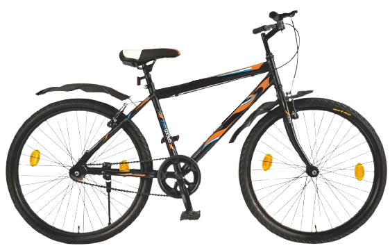 Classic Roadster bicycle with durable frame