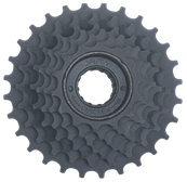 freewheel multispeed